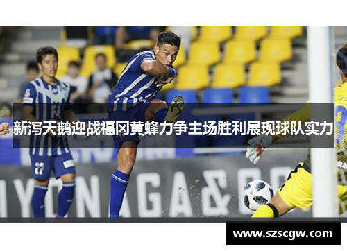 新泻天鹅迎战福冈黄蜂力争主场胜利展现球队实力